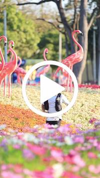 BIB:  <button type="button" onclick="openModal(27583395)" class="btn btn-primary btn-sm float-right" data-toggle="modal" data-target=".modal-high-quality">
                <i class="fa fa-download"></i> Download
                </button>